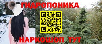стаф Рязань