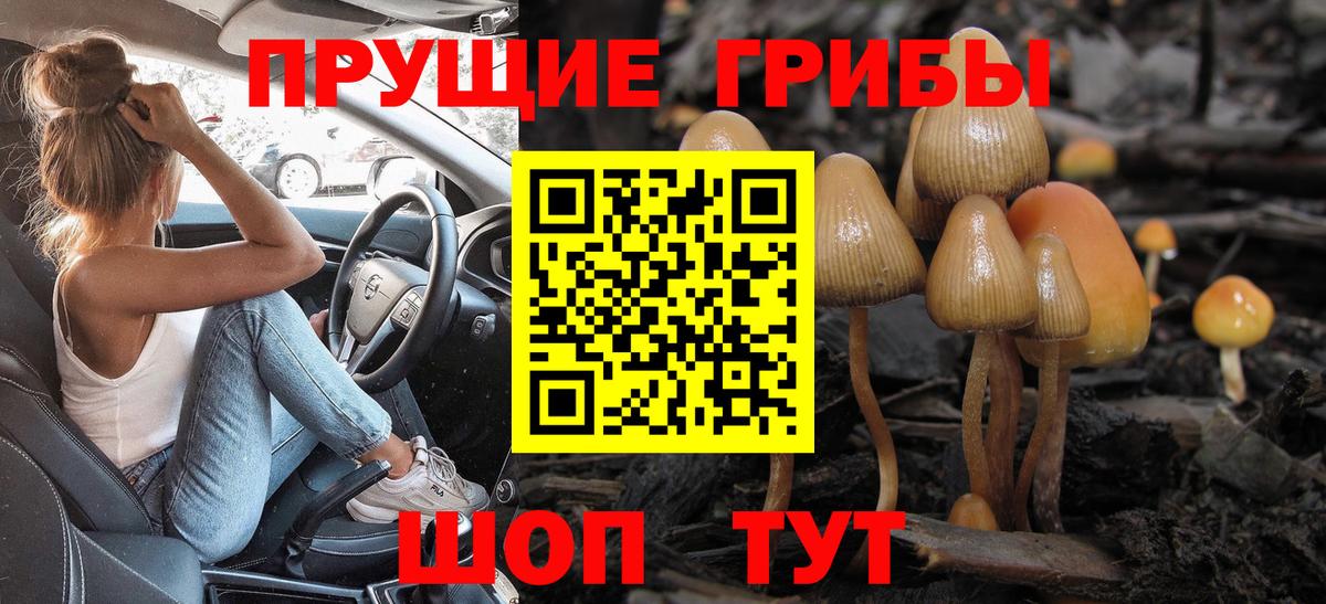 Симферополь  Псилоцибиновые грибы прущие грибы  Галлюциногенные грибы MAGIC MUSHROOMS  закладки  Вход с VPN 