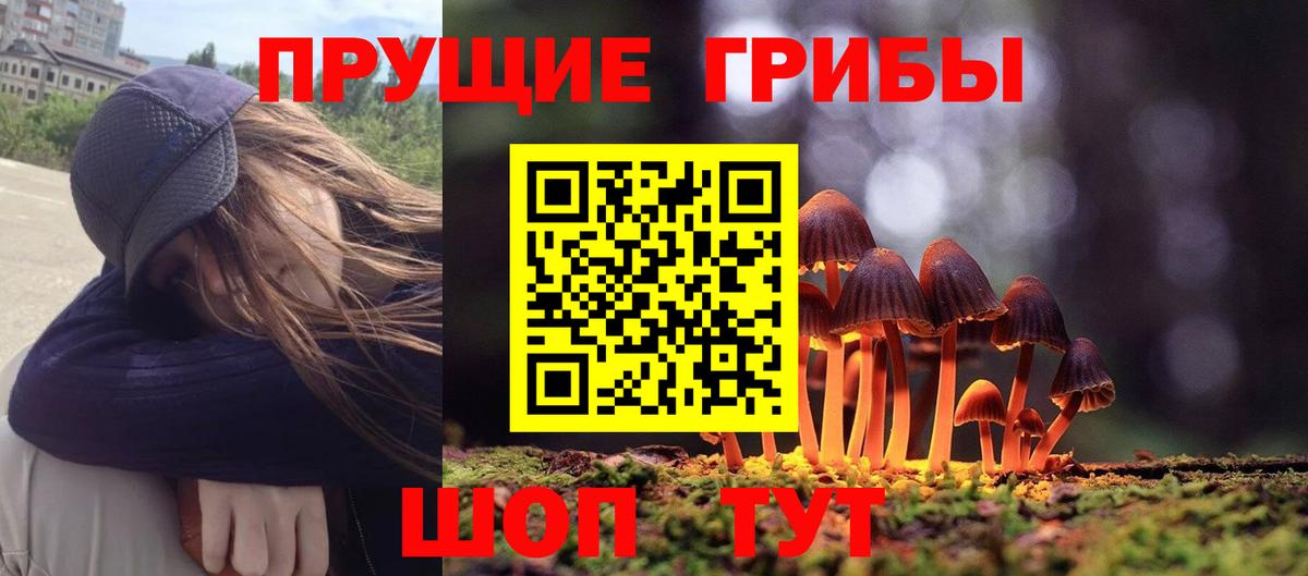 Галлюциногенные грибы Psilocybine cubensis Симферополь
